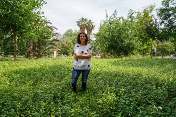 El Consell destina un millón a las primeras ayudas a proyectos de I+D+I para la descarbonización 