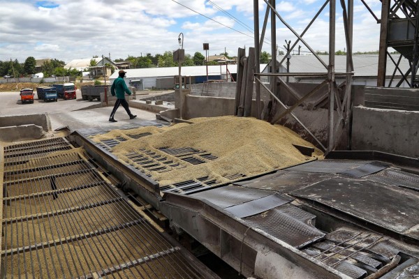 Rusia y Ucrania reanudan las exportaciones de grano bajo la supervisión de Turquía y la ONU