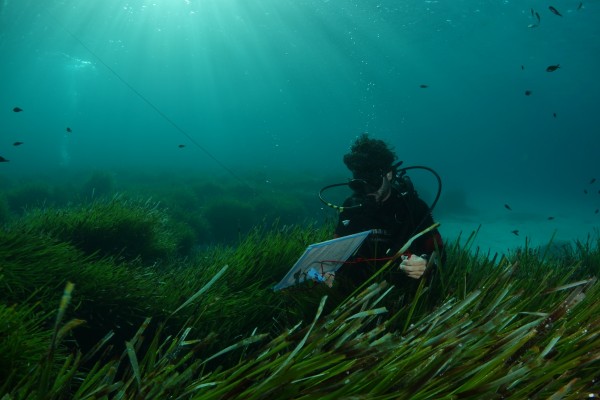 El Instituto de Oceanografía advierte de que El Gorguel degradaría el litoral y amenazaría a Calblanque