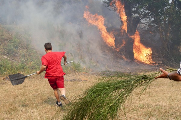 Ciencia impulsa 16 proyectos de investigación sobre el cambio climático y los incendios 