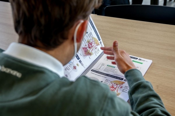 Educación retira el decreto que mantenía las ratios y las establecía para primer ciclo de Infantil