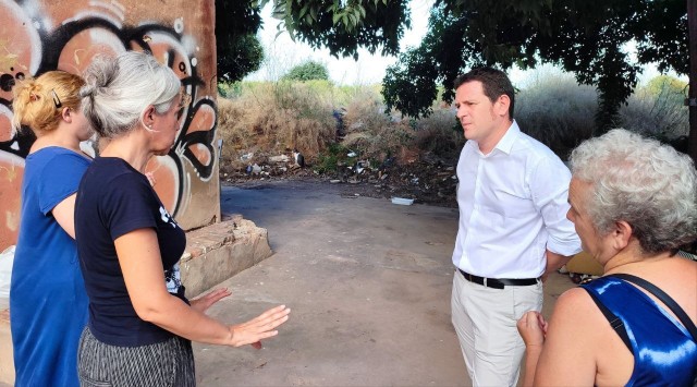 Castelló destina 100.000 euros para el proyecto de Captura, Esterilización y Retorno de gatos