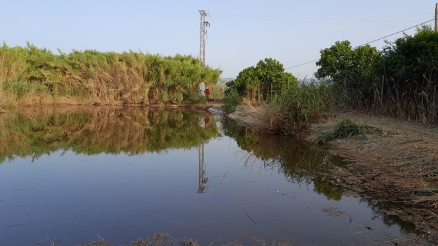 La Diputació inicia la restauración ambiental del antiguo vertedero de Guadassuar