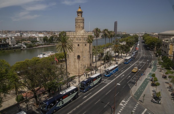Competencia propone liberalizar las rutas de autobús de más de 100 km para bajar los precios