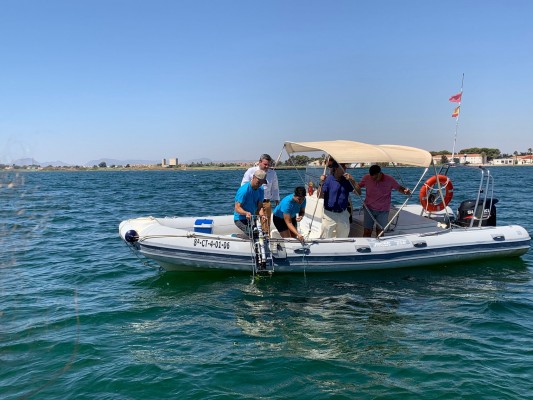 El nivel de oxígeno sigue estable en el Mar Menor 
