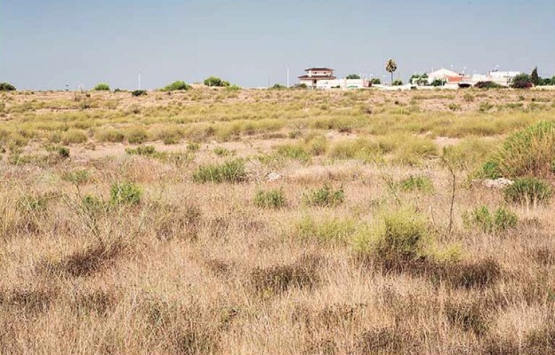 Elche reclasificará suelo de El Altet: permitiría usos hoteleros limitados, dotaciones o infraestructuras
