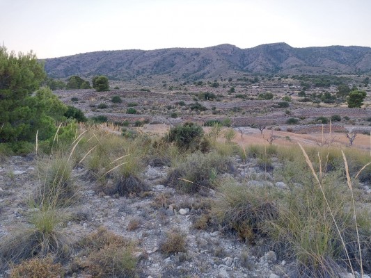 Vertedero por partida doble en Monòver: el consorcio proyecta el comarcal; una empresa, otro industrial
