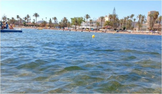 El Mar Menor presenta niveles bajos de oxígeno en dos de los 52 puntos medidos