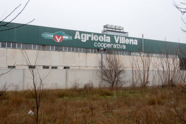 A los futuros socios de Agrícola Villena les sobran 100 operarios: proponen 70 fijos discontinuos