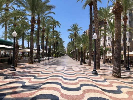 Alicante plantea suprimir el mercadillo de la Explanada y crear otro temporal en Urbanova