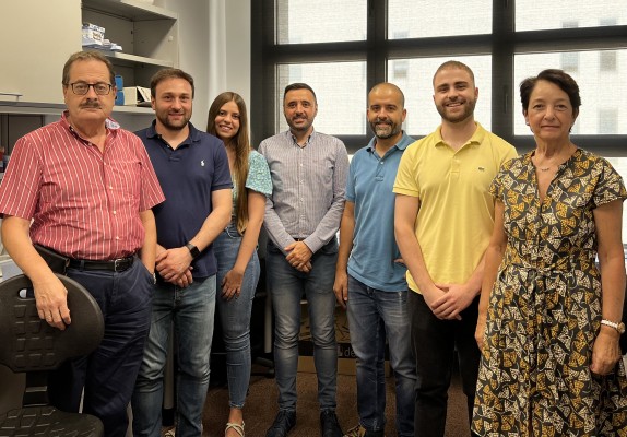 El trasplante de células madre de la médula ósea ralentiza enfermedades degenerativas de la retina 