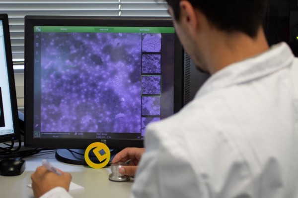 Innovación financia el desarrollo de un sistema de reciclaje de envases multicapa con insectos