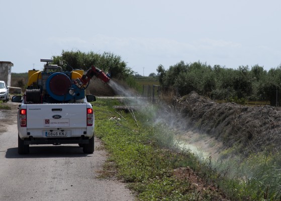 La Diputación lleva esta semana la lucha contra los mosquitos a 79 municipios castellonenses