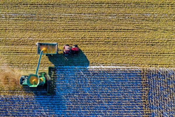 La UMH lidera una investigación sobre emprendimiento rural en España