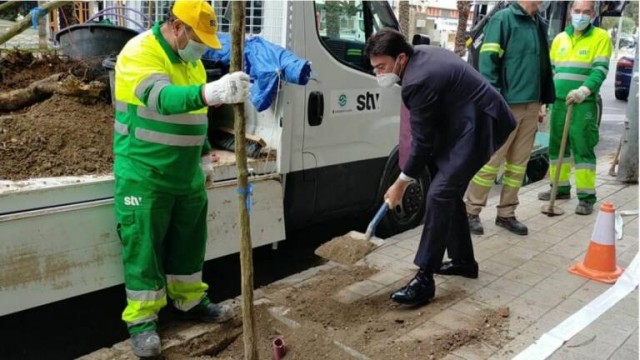 Alicante valora recurrir al TS la 'anulación' de la contrata de jardines sin suspender sus mejoras