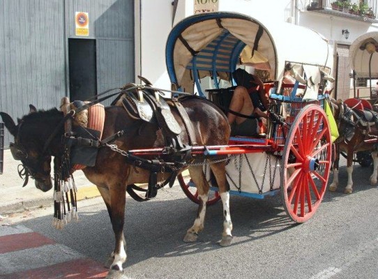 La XX Vuelta en Carro parará este viernes en Ontinyent