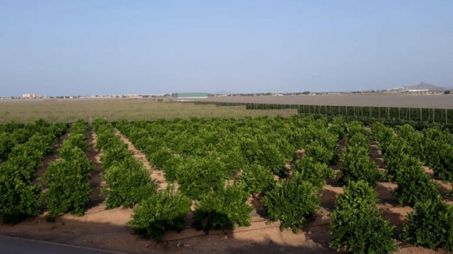Agricultores y transportistas seguirán sin pagar las tasas de la Región: exentos hasta 2023 