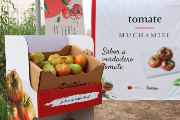 El Tomate Muchamiel arranca la temporada con la marca de calidad CV y con más productores