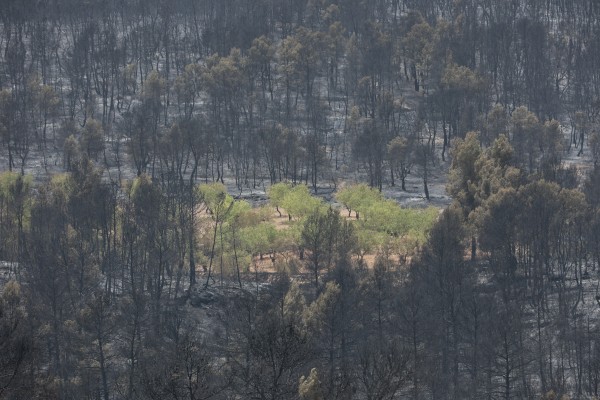 La lluvia intensa que cae en Venta del Moro da una tregua a los equipos de extinción