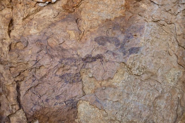 Galerías de arte del pasado: pinturas rupestres en la Comunitat

