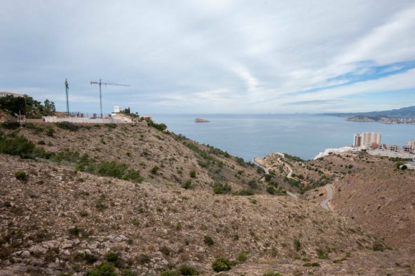 Puchades denuncia que informes de Benidorm han omitido 