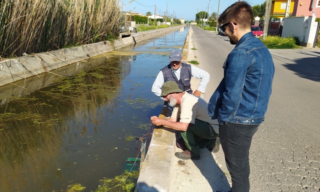 Castelló llança el concurs de fotografia 'Marjaleria Viva' per promoure la seua riquesa ambiental