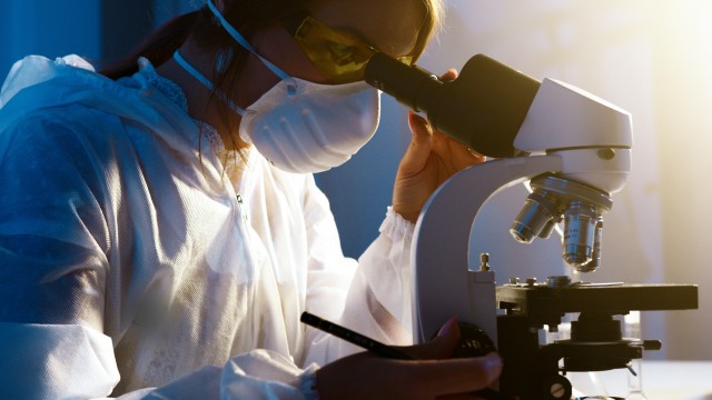 Un estudio apunta que las células madre derivadas de la orina humana tienen potencial regenerativo