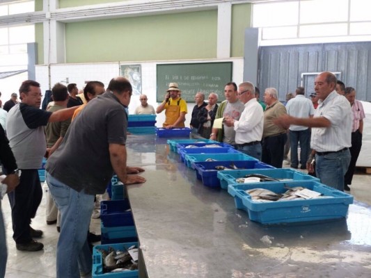 Las capturas de langostino se recuperan en el Mar Menor: vuelven las cantidades previas a la anoxia