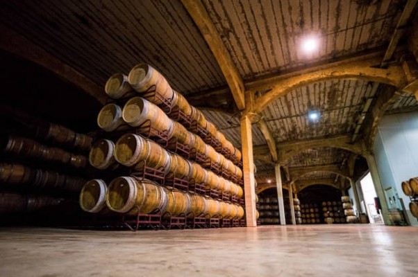 Bodegas Vicente Gandía aumenta un 11% sus ventas y eleva beneficios a 3,5 millones