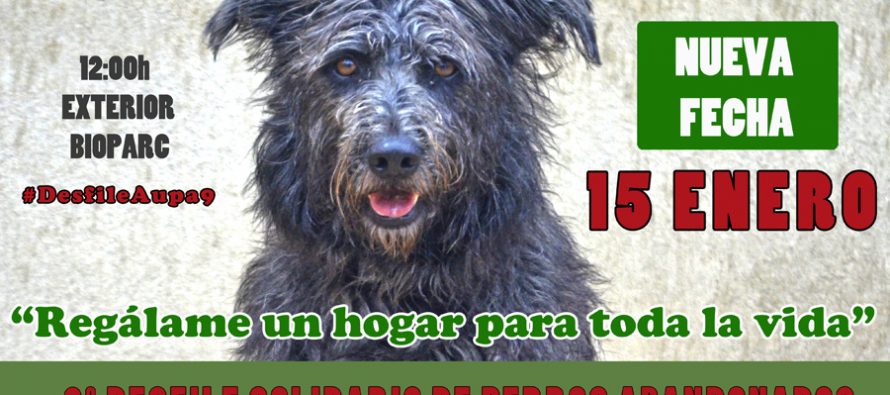 El desfile solidario de perros de AUPA y BIOPARC de Navidad será el 15 de enero