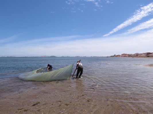 El Constitucional admite el recurso contra la reforma del Gobierno regional en la Ley del Mar Menor