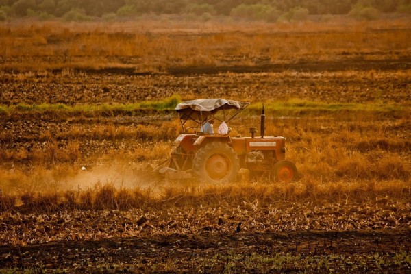Agricultores y ganaderos recibirán 4.856 millones de euros de las ayudas directas de la PAC 2022