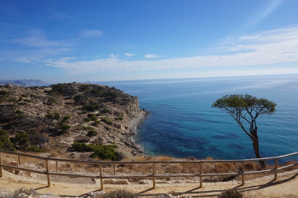 WWF Alicante pide más protección para la Malladeta de la Vila Joiosa