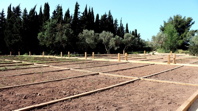 Benidorm abre el viernes la solicitud para los nuevos 49 huertos urbanos en l’Horta

