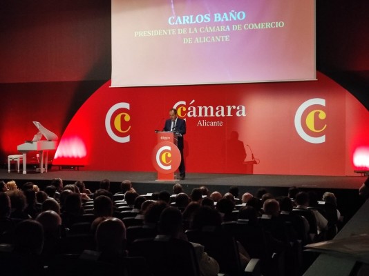 Baño presidirá un comité con Miñano y Navarro de vicepresidentes
