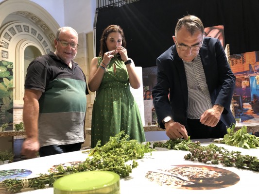 La importancia gastronómica y cultural de las especias se muestra en la Sala Clarisas de Elche