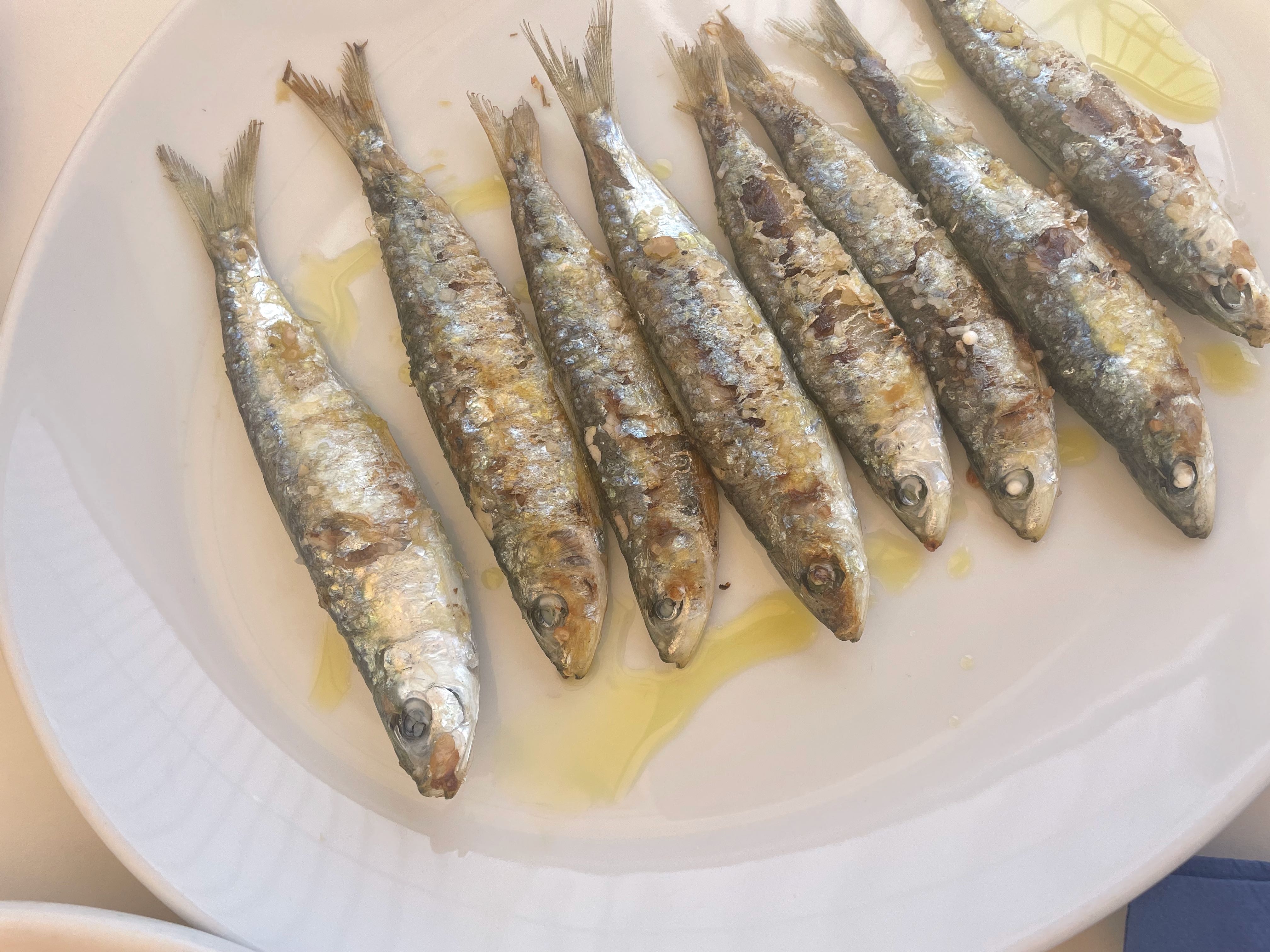 Sardinas de lonja en Terra Milles
