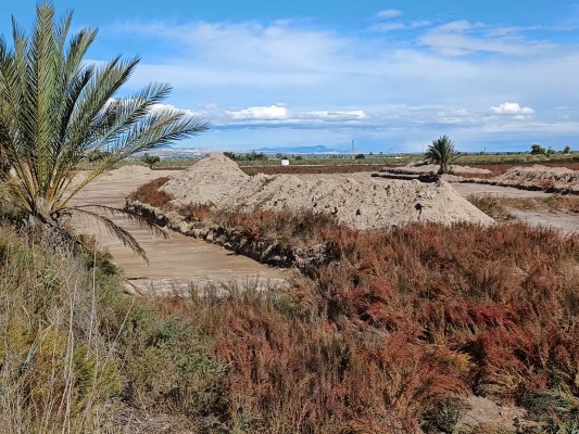 Campo de concentración de Albatera: memoria y huellas del infierno