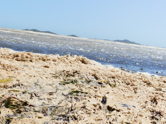El plan ambiental para la retirada de fangos y secos se aplicará en 10 áreas del Mar Menor
