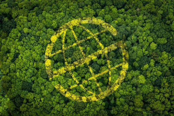 Prosegur y Prosegur Cash son las primeras compañías de seguridad que obtienen y publican la evaluación ESG de S&P Global Ratings
