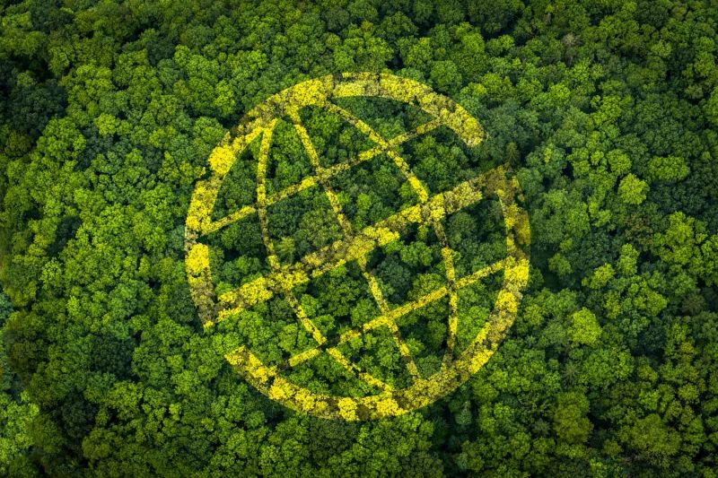 Prosegur y Prosegur Cash son las primeras compañías de seguridad que obtienen y publican la evaluación ESG de S&P Global Ratings
