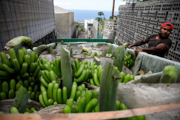 Casi medio millón de toneladas de frutas se verán afectadas cada semana con el paro del transporte