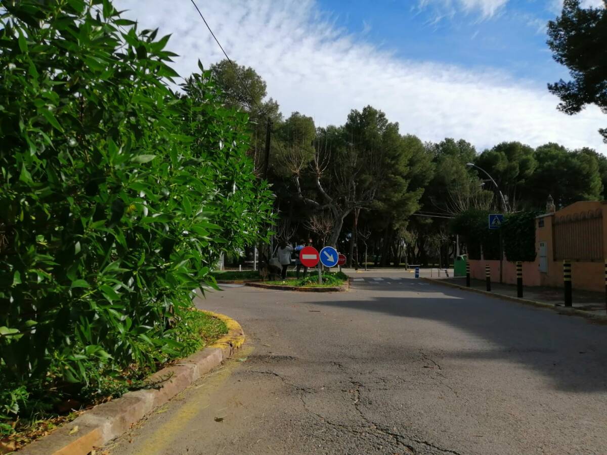 Vila-real amplía a tres meses el programa del paro agrario que empleará a 29 personas 