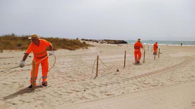 Castelló amplía la talanquera de protección del chorlitejo a una zona dunar de la playa del Gurugú

