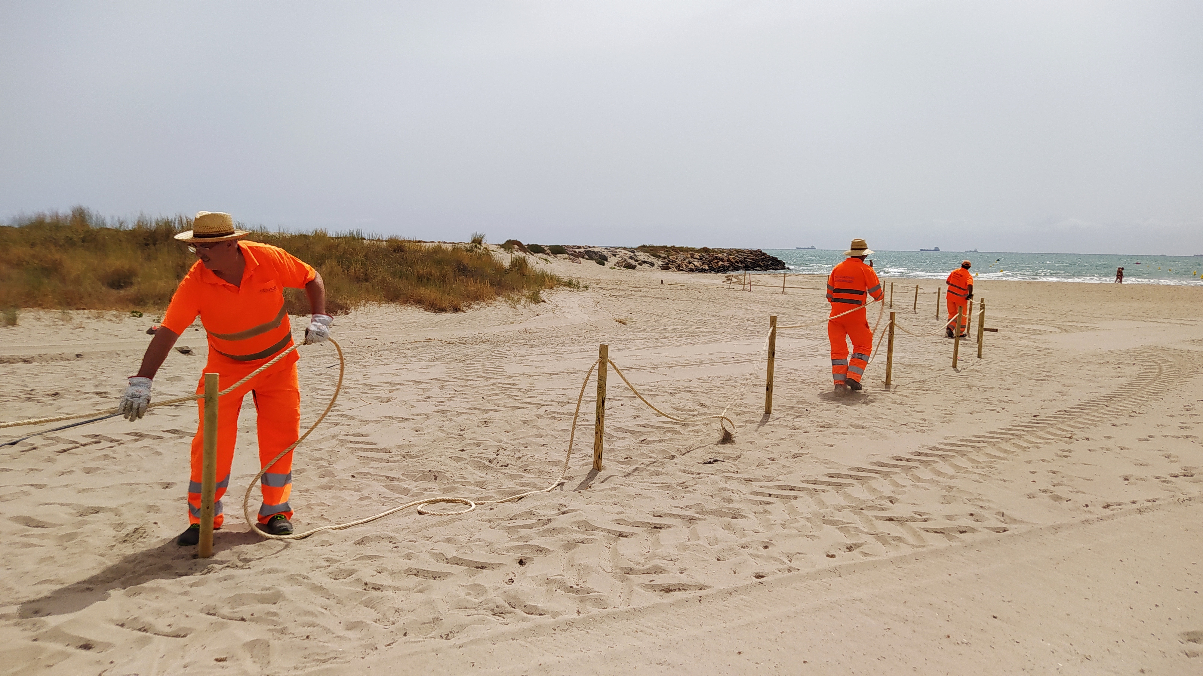 Castelló amplía la talanquera de protección del chorlitejo a una zona dunar de la playa del Gurugú

