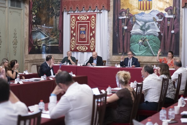 Los mosquitos y el Hospital de Vinaròs acaparan el debate del pleno de la Diputación de Castellón