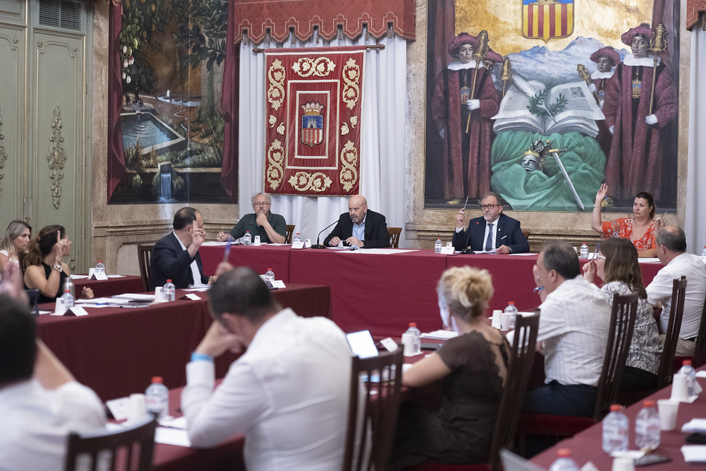 Los mosquitos y el Hospital de Vinaròs acaparan el debate del pleno de la Diputación de Castellón