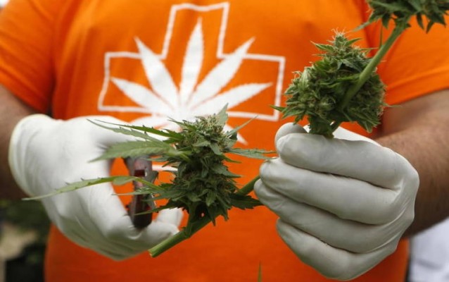 El Congreso avala la regulación del cannabis medicinal