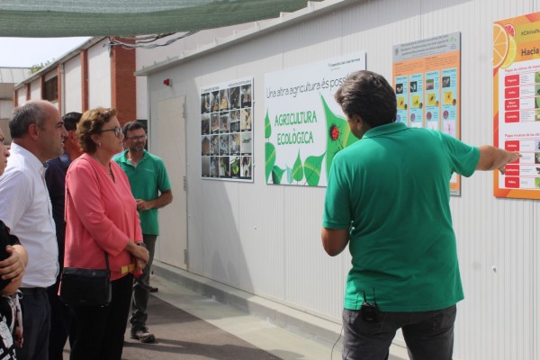 Burriana inaugura un insectario para combatir la plaga de cotonet que afecta a la citricultura