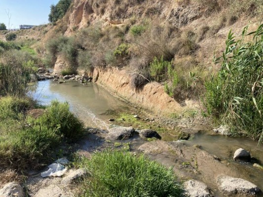 El Sindicato de la Huerta de Alicante pide verter al río Seco aguas residuales; al día, la mitad de una piscina olímpica